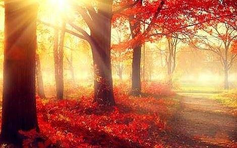 Днес мъгли и слънце. Максималните температури ще са между 13° и 18°