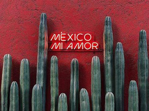 Студените точки без болести на планетата