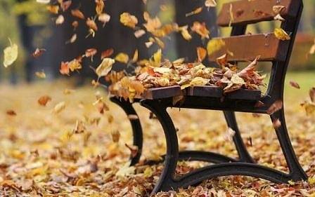 Днес облачно с максимални температури между 13° и 18°. След обяд ще започнат валежи от дъжд