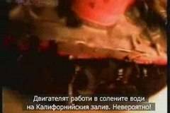 Защита срещу влага – Екстремен тест POLYTRON