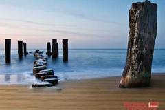 Масивен и трислоен паркет-какво да изберем?