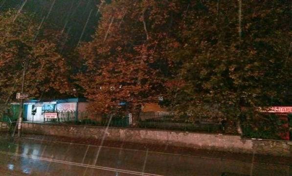 Честит първи сняг в Троян