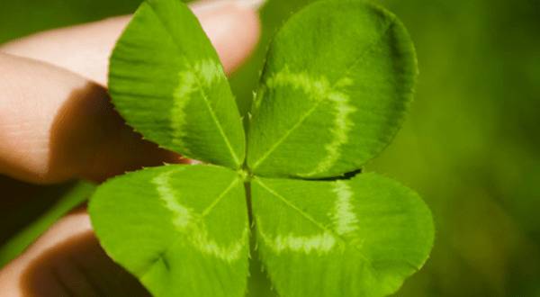 Кои 6 зодии ще намерят щастието до края на годината