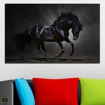 Картина пано за стена от 1 част с черен арабски жребец – HD-649-1