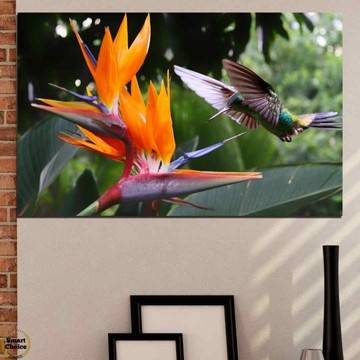 Картина пано за стена от 1 част – екзотично изображение с колибри – HD-176-1