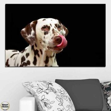 Картина пано за стена от 1 част с далматинец – HD-639-1