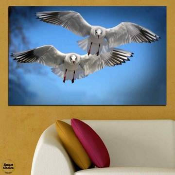Картина пано за стена от 1 част с бели чайки – HD-610-1