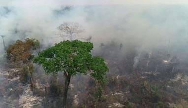 Европа обяви „извънредно положение“ за климата