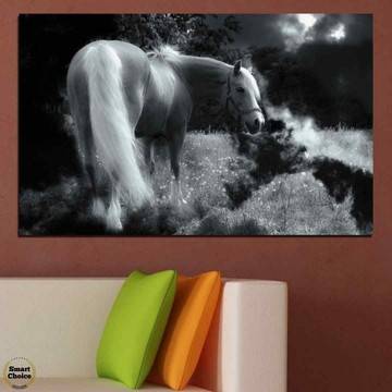 Картина пано за стена от 1 част с кон в черно и бяло – HD-588-1