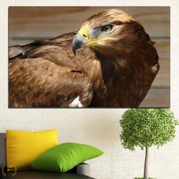 Картина пано за стена от 1 част с изображение на Сокол – HD-615-1