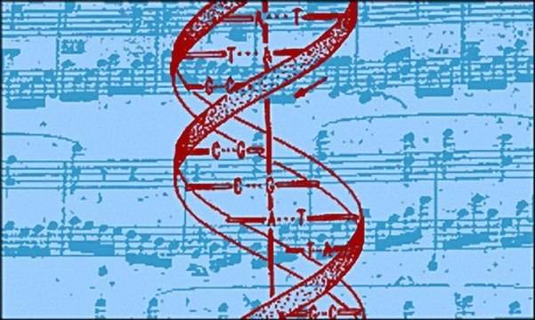 Законът на Седемте Ноти и ДНК