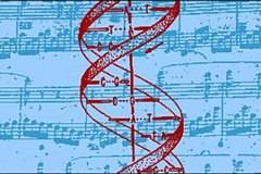 Законът на Седемте Ноти и ДНК