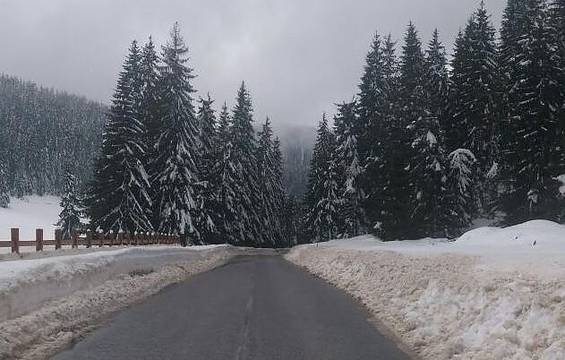 АПИ предупреждава: Не тръгвайте с летни гуми към планинските проходи