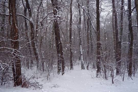 Времето през декември: Ще завали ли най-после сняг?