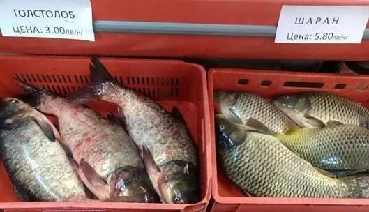 За Никулден: Засилени проверки на търговците на риба