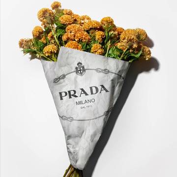 Prada повишава стандартите за устойчивост