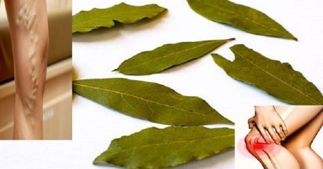 Благодарение на тези листа, ще се отървете от разширени вени, липса на памет и главоболие!