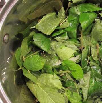 Чудодейно средство срещу разширени вени