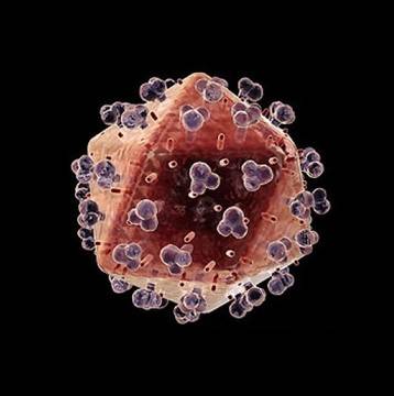 Ракът умира, когато ядете тези 7 храни. Време е да започнете да ги консумирате