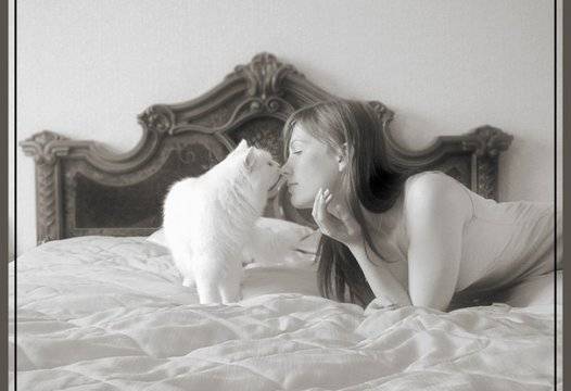 Защо хората пускат котка в спалнята на нов дом преди да се заселят в него |