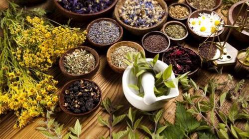 Лечебни билки, които трябва да има във всеки дом