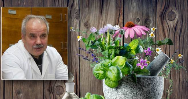 Топ рецепти от известния беларуски фармацевт и билкар Анатолий Григориев