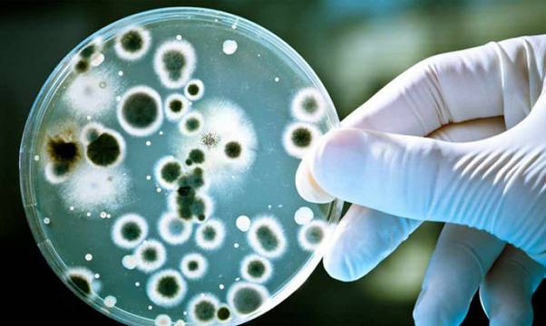 Причината за вечно запушения ви нос всъщност се крие в… червата! Не вярвате? Ето как да си помогнете сами: