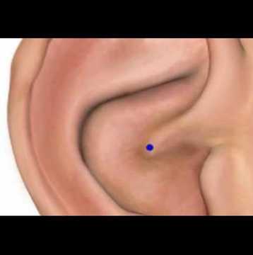 Погледнете тази точка внимателно, може да ви е от голяма полза!