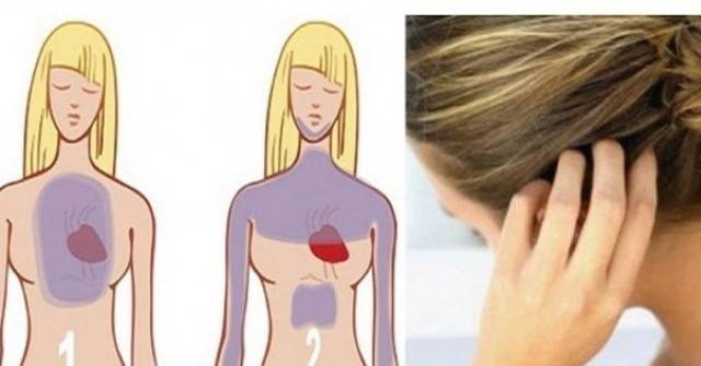 Косата ви алармира месеци по-рано, че ще получите инфаркт! Ето как да разберете дали ви грози опасност