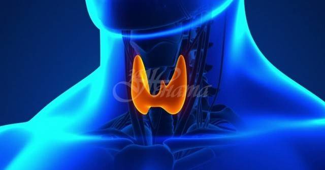 Щитовидната ви жлеза е в опасност, ако имате тези 17 симптома!
