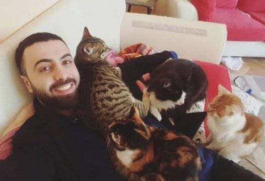 Вълшебно ВИДЕО: Турски пианист стана световноизвестен заради 9-те си котки |