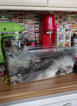 СНИМКИ на течни котки, които игнорират свойствата на твърдите вещества |