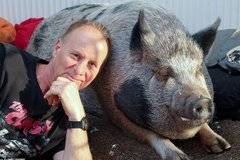 Мъж подари на жена си мини прасенце, но то се оказа обикновена свиня |