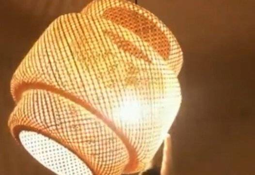 Котарак се качи на полилея и разсмя мрежата ВИДЕО |