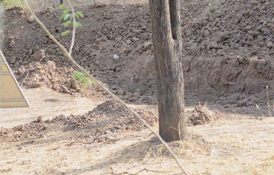 СНИМКА на “невидим леопард“ тотално шашардиса всички |