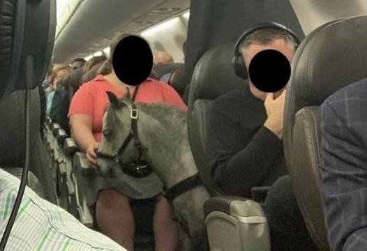 Едва ли някой е срещал преди такава гледка на самолет ВИДЕО |