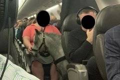 Едва ли някой е срещал преди такава гледка на самолет ВИДЕО |