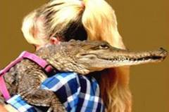 Жена гледа пет крокодила в апартамента си и дори спи с тях (СНИМКИ)