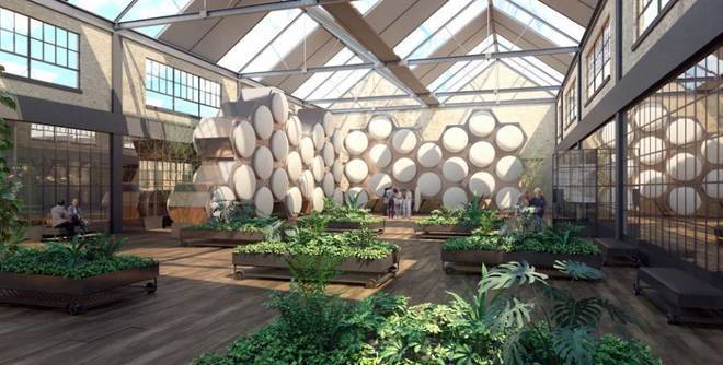 Човешкото компостиране като алтернативен начин за погребение