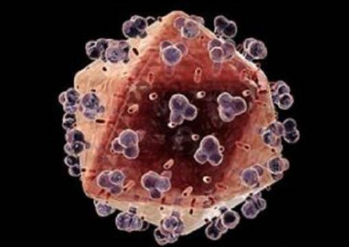 Ракът умира, когато ядете тези 7 храни. Време е да започнете да ги консумирате