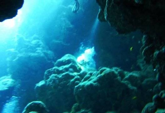 Руски моряци с уникално откритие в Червено море |