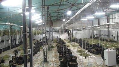 Най-голямата наркоранжерия в Русенско е имала хотелски комплекс