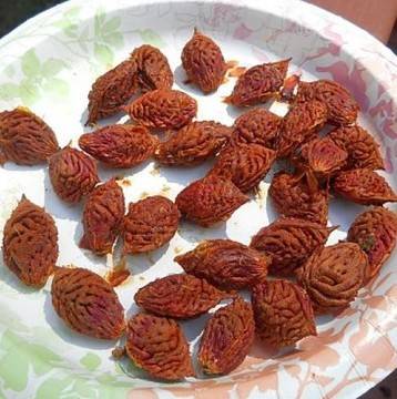 Когато видите това, ще спрете да изхвърляте костилките от праскови!