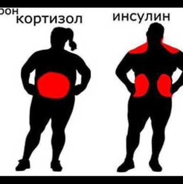Хормоните и Напълняването в Определени Части на Тялото