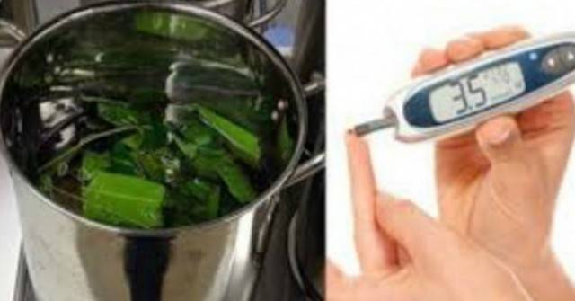 Човекът, който се избави от диабета без използване на лекарства, разкри тайната си, която струва по-малко от 10лв. лева!…