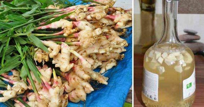 Имунитетът ми се вдигна до небесата, а стрелката на кантара лети надолу! 2 чаени лъжички на ден и животът ми се преобърна!