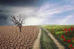 Германия: „Зелените“ искат да раздават паспорти на „климатични бежанци“