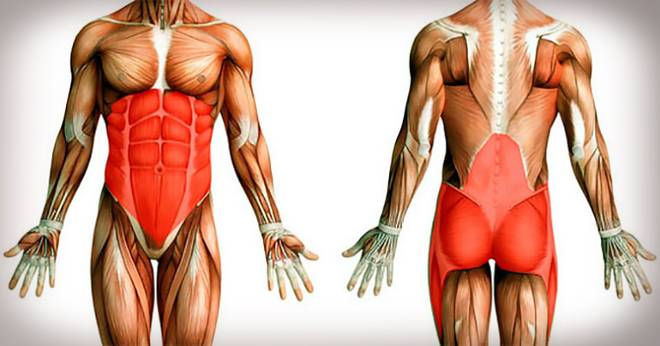 Отслабване в долната част на корема без диета! Моята талия намаля 5 см и дори станах по-висока! 62 см-толкова слаба никога не…