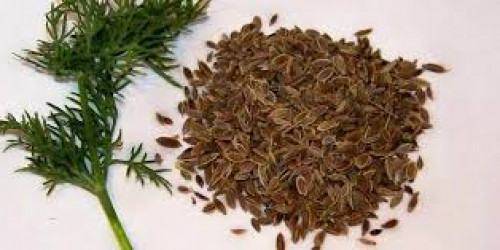 Какви лекарства могат да бъдат заменени със семена от копър