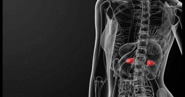 Много жени не могат да отслабнат, въпреки че спазват диети и тренират, а дори не предполагат, че проблема може да се крие в това